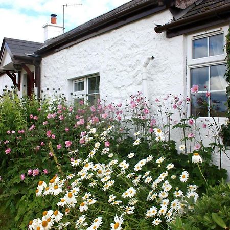 Tornaroan Cottage باليكاسل المظهر الخارجي الصورة