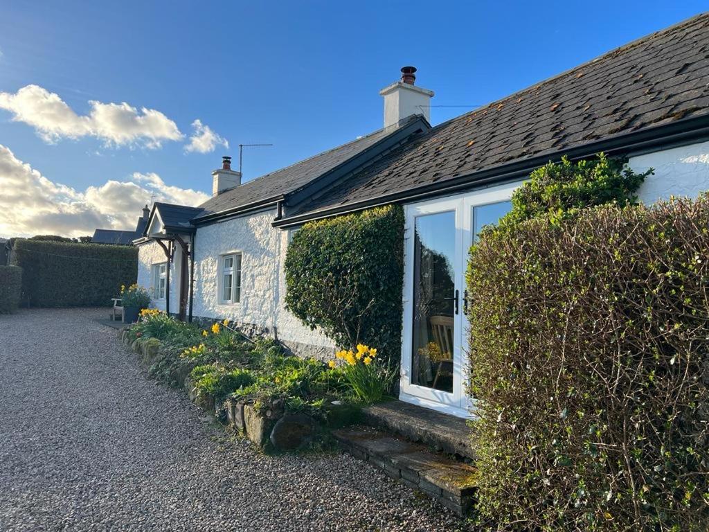 Tornaroan Cottage باليكاسل المظهر الخارجي الصورة