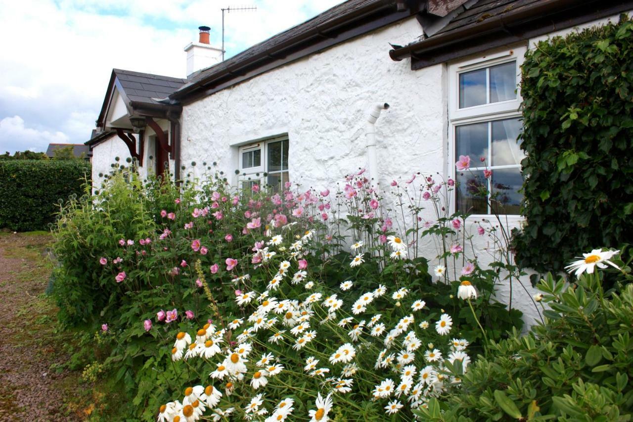 Tornaroan Cottage باليكاسل المظهر الخارجي الصورة